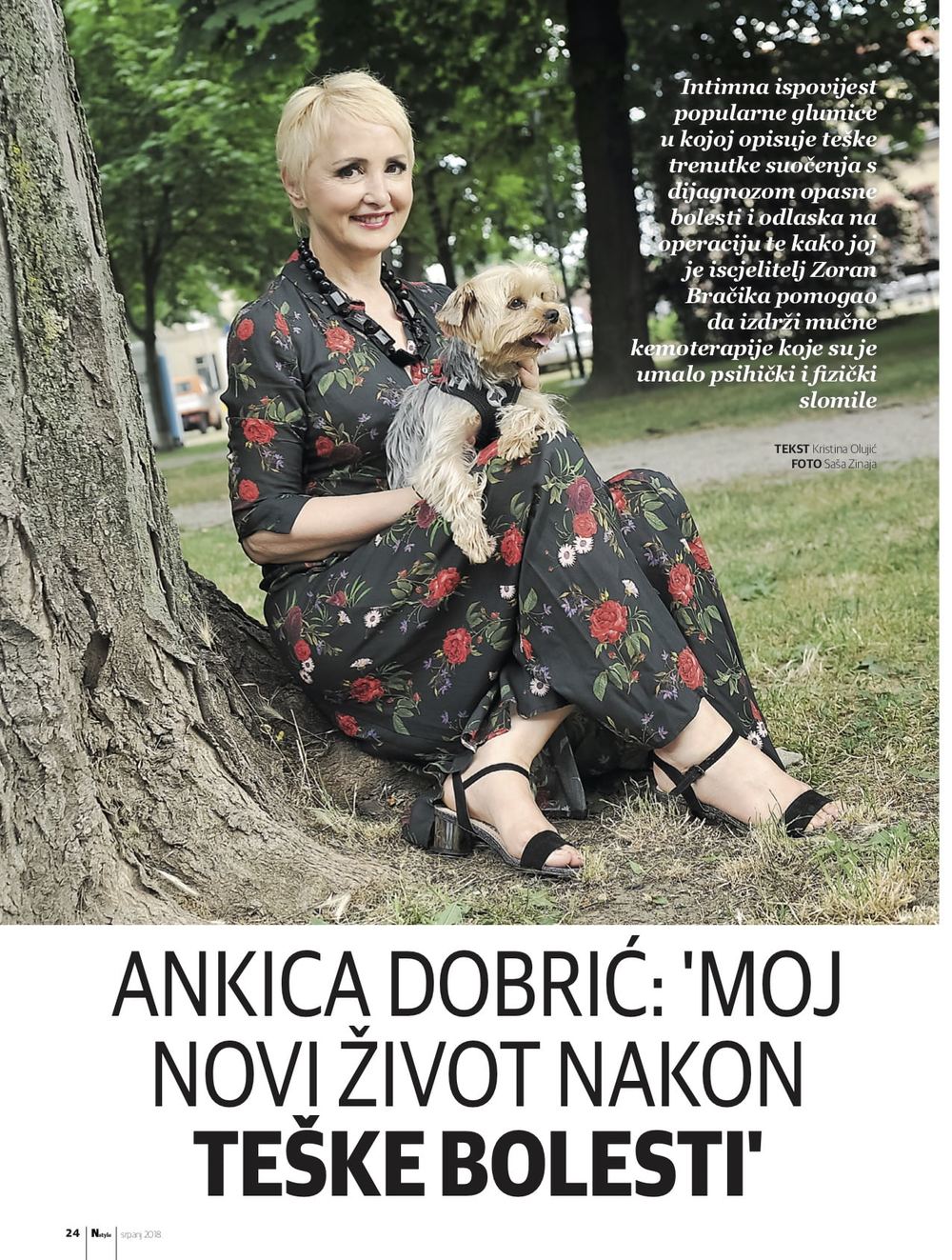 Novinski isječak